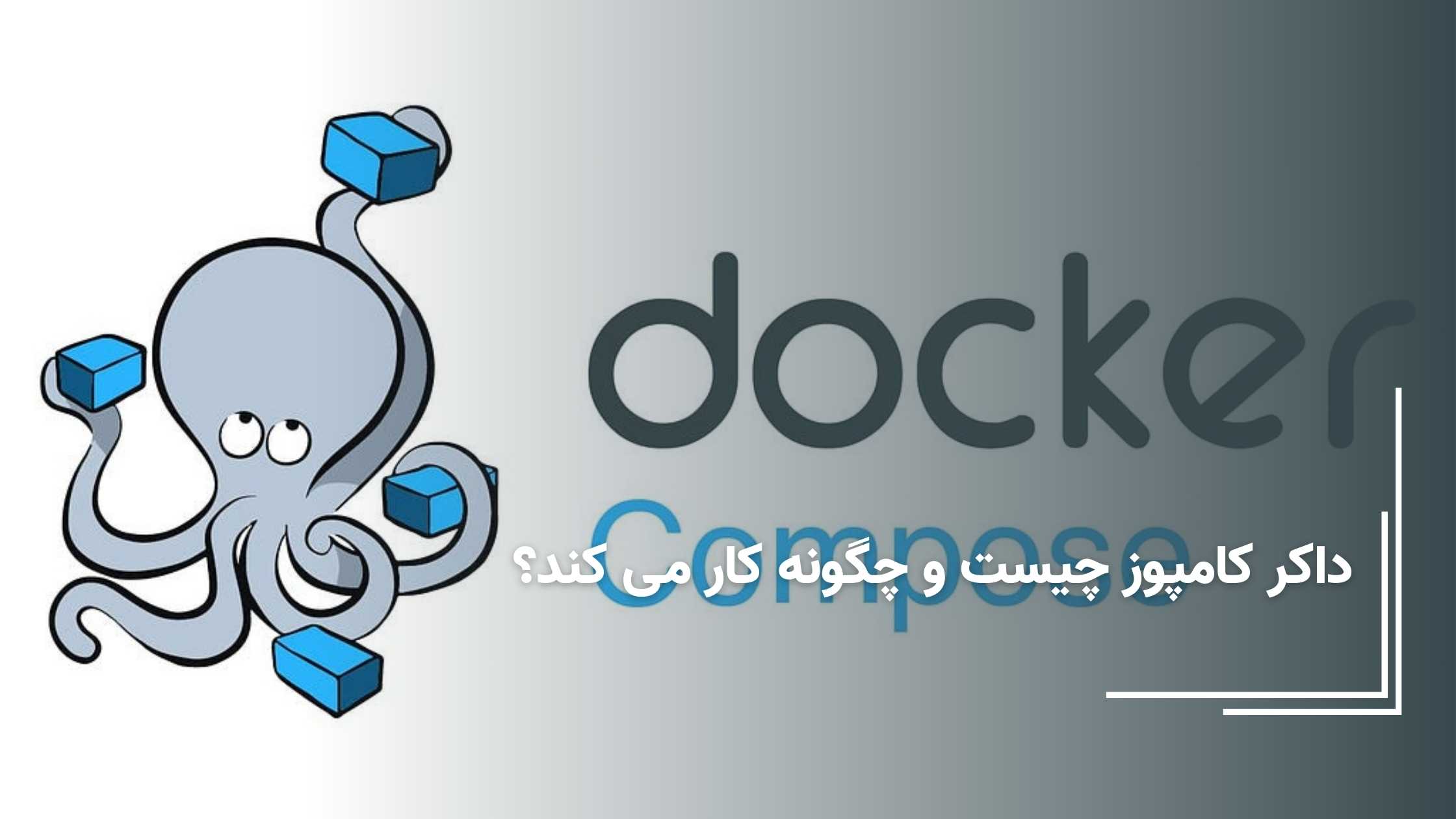 داکر کامپوز